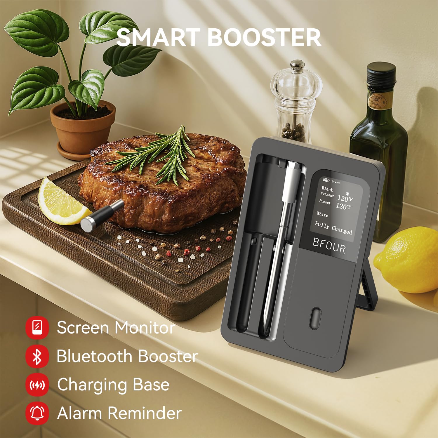 Wireless Meat Thermometer Blue - Kitchen Appliances Video recension och pris