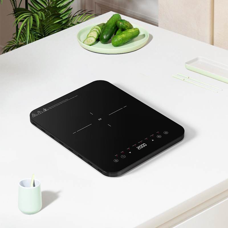 Dual heat dissipation inductio - Induction Cooktop Portable recension och pris
