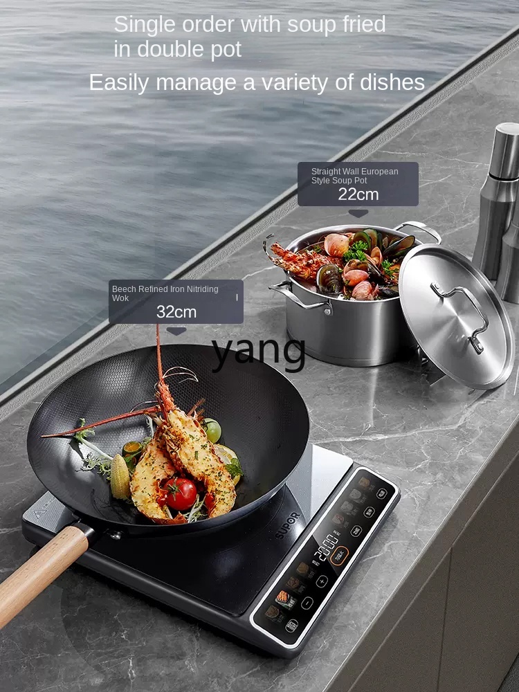 LMM High-Power 2200W Household - Induction Cooker recension och pris
